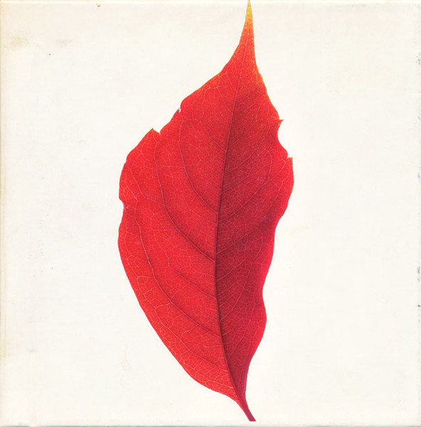 Kristine W - Land Of The Living